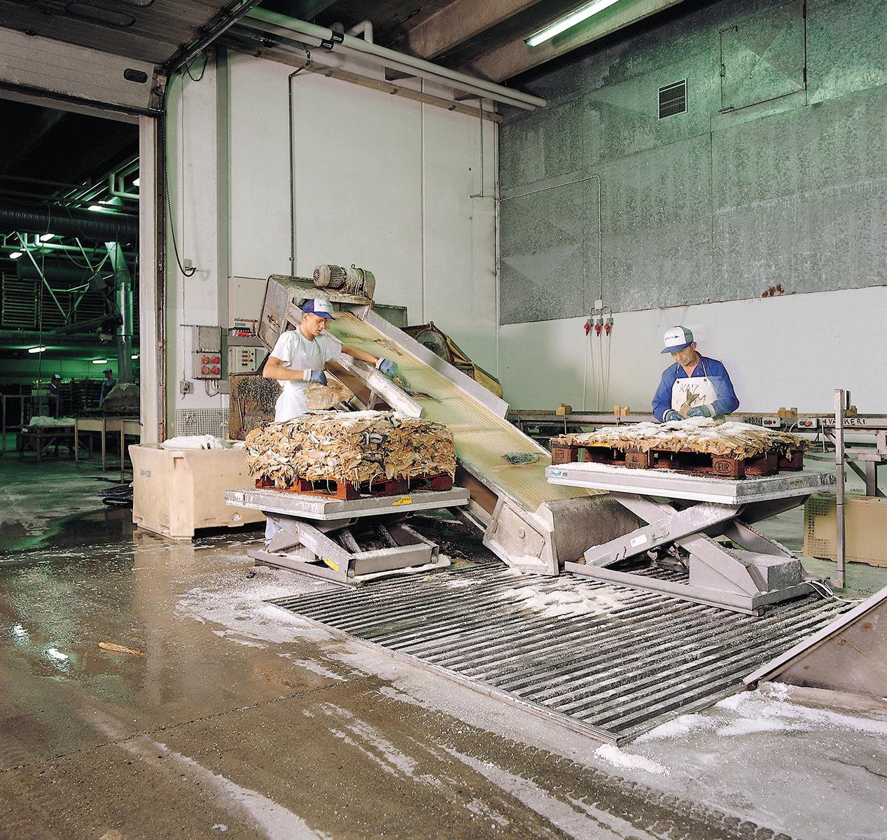 Hubtisch aus Edelstahl TL 1000 B Zylindertyp 3