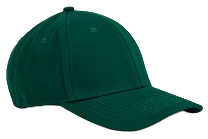 Cap organic earth 6 Panel
