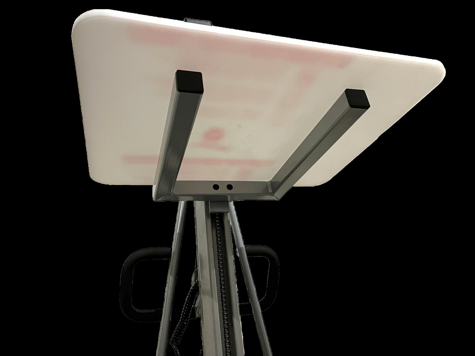 Elektrischer Hebelift - Nutzhub 2000mm Tragkraft 100kg - E100H